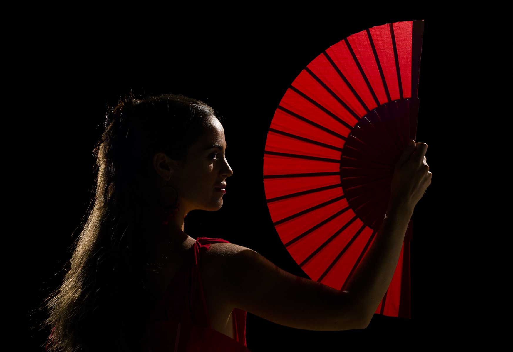 Cena con espectáculo flamenco